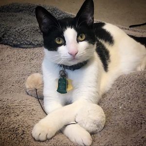 Meet your Posher, Kat